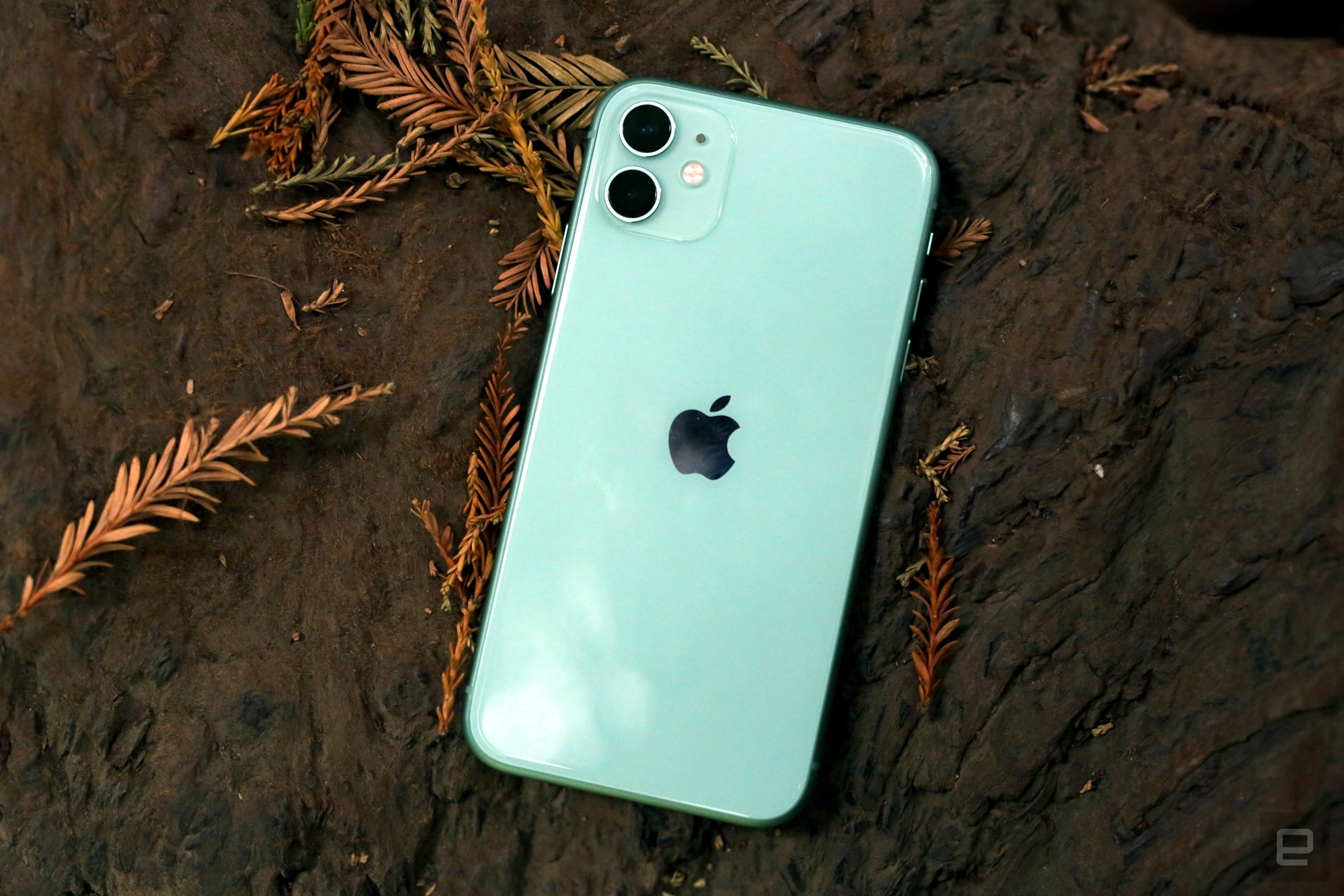 Iphone 11 Pro Зеленый Красивое Фото