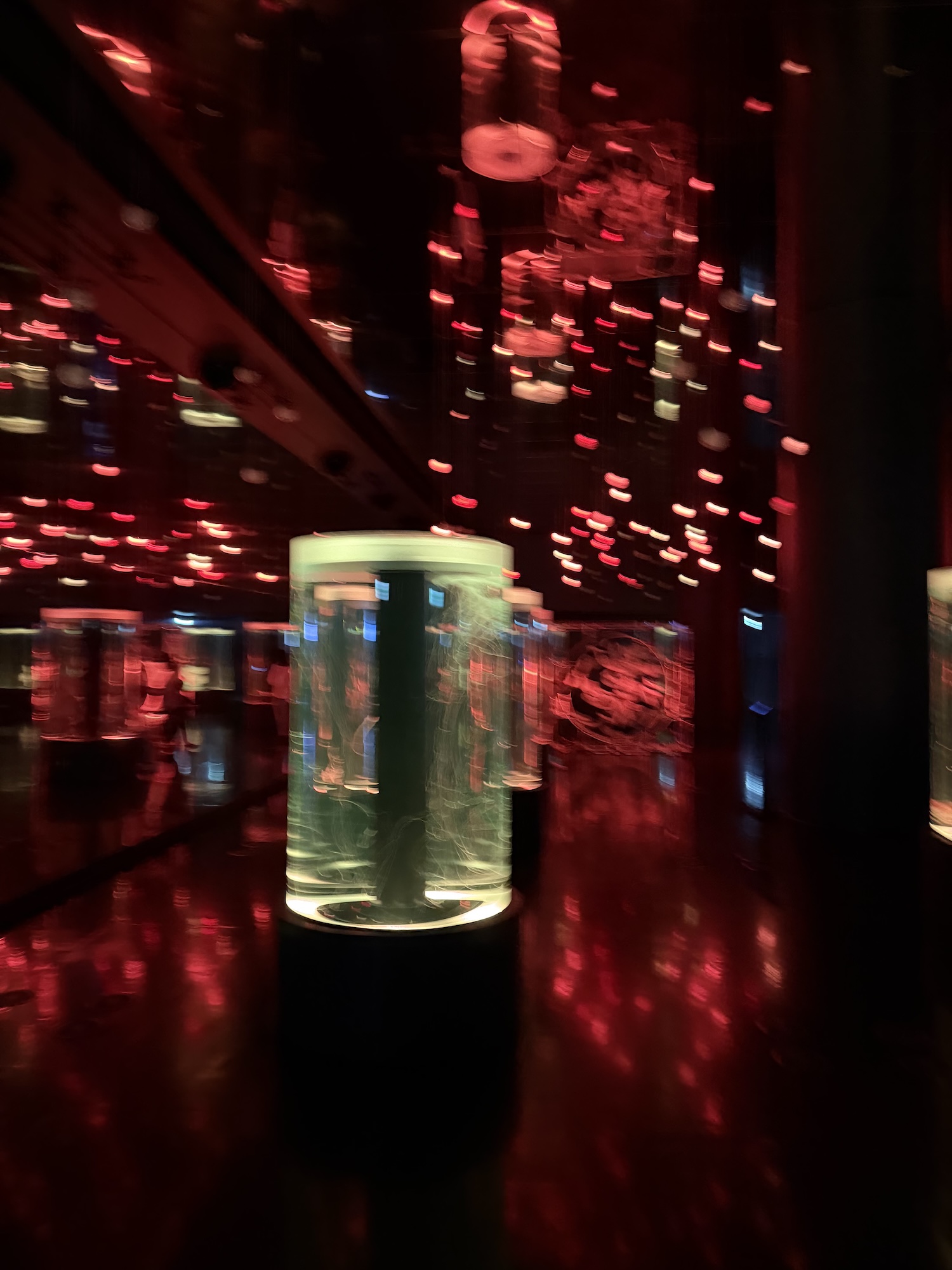 iphone 17 pro max лучшая камера для отпуска обзор токио япония