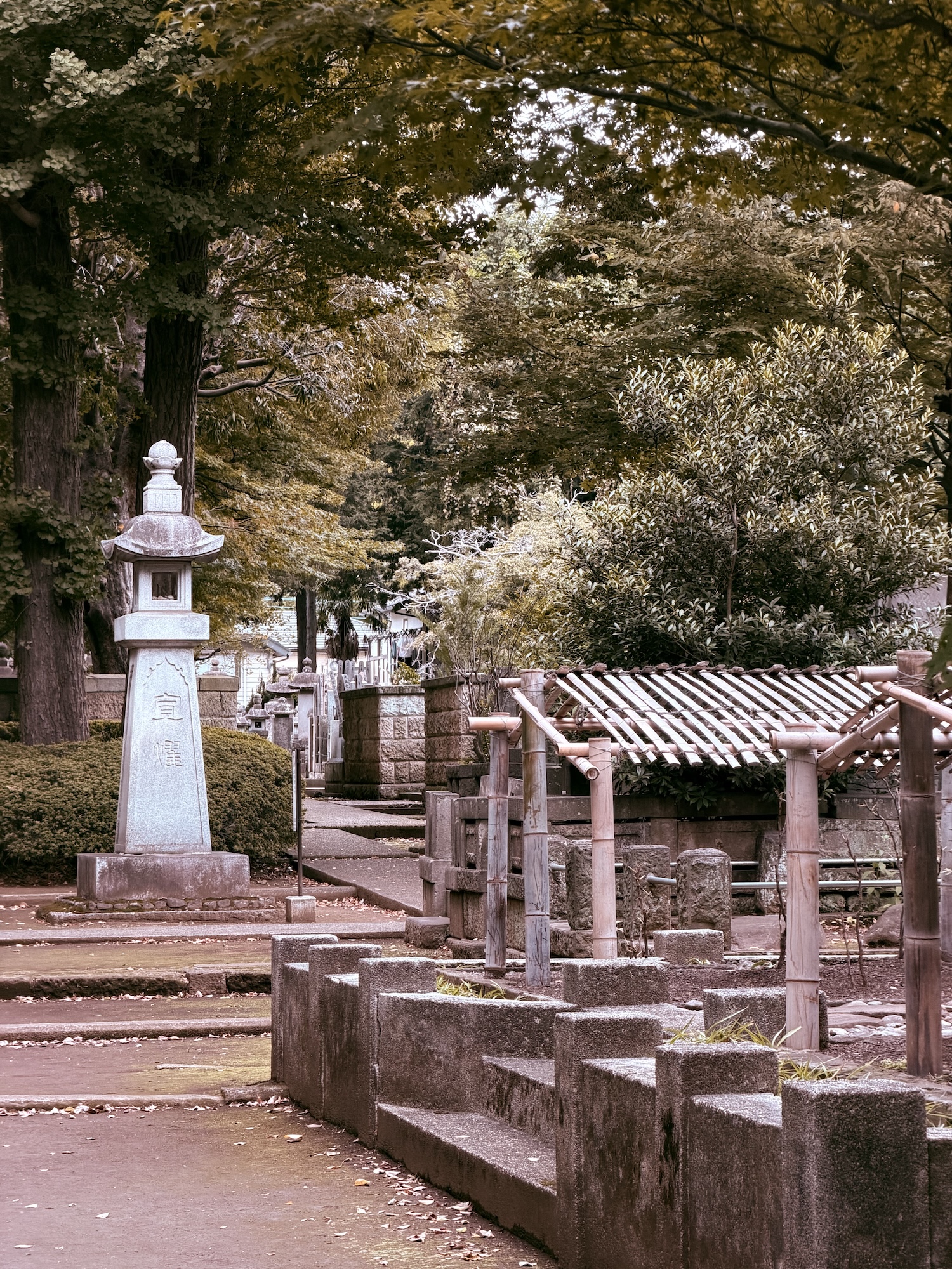 iphone 17 pro max лучшая камера для отпуска обзор токио япония