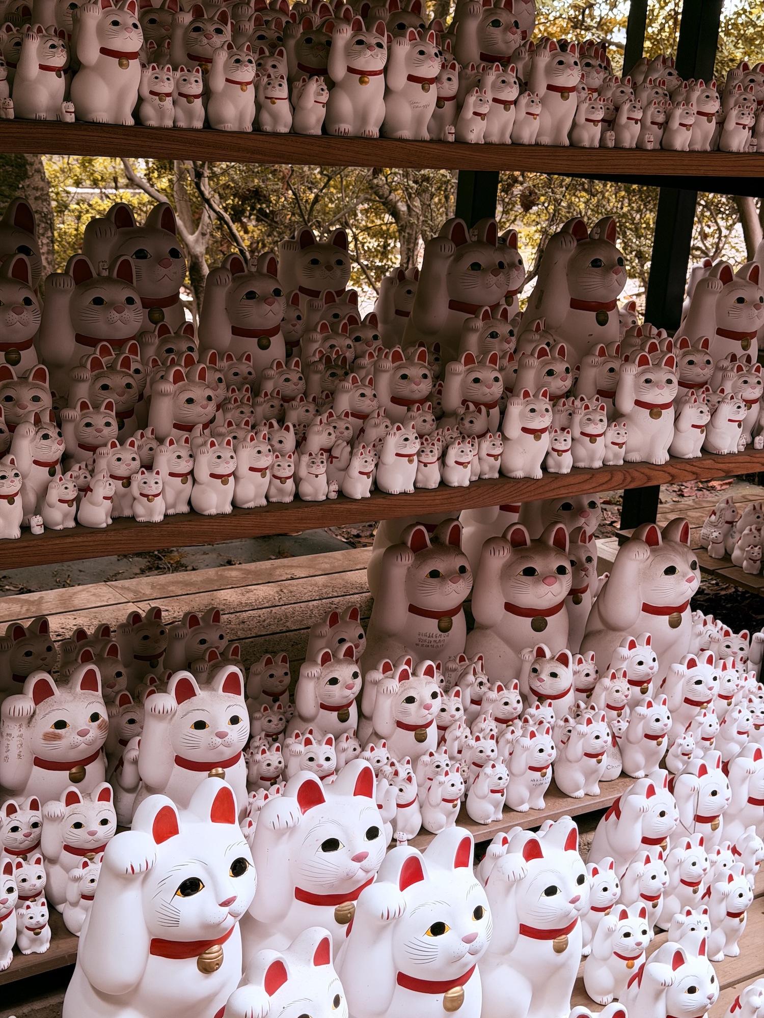 iphone 17 pro max лучшая камера для отпуска обзор токио япония