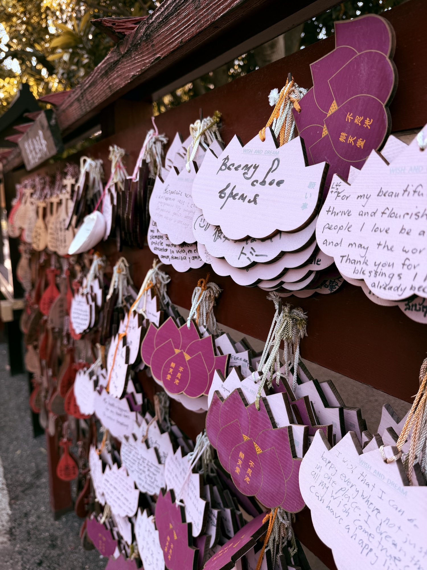 iphone 17 pro max лучшая камера для отпуска обзор токио япония