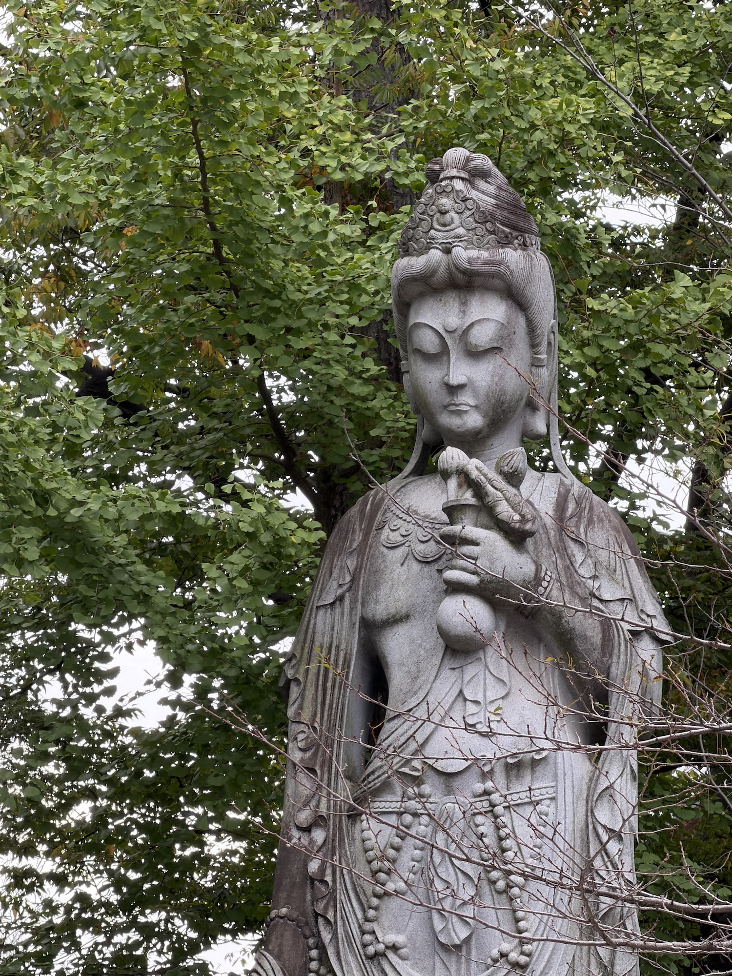 iphone 17 pro max лучшая камера для отпуска обзор токио япония