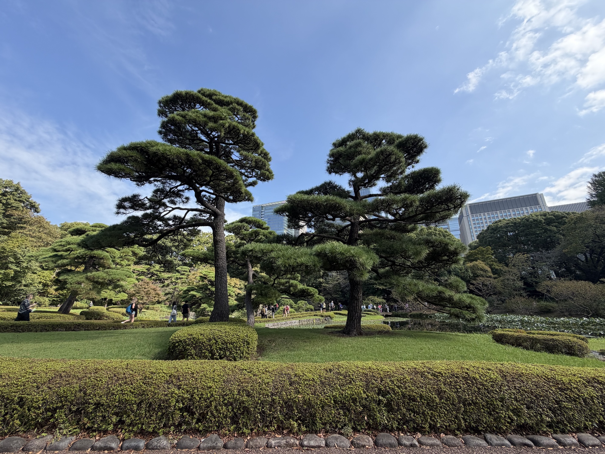 iphone 17 pro max лучшая камера для отпуска обзор токио япония