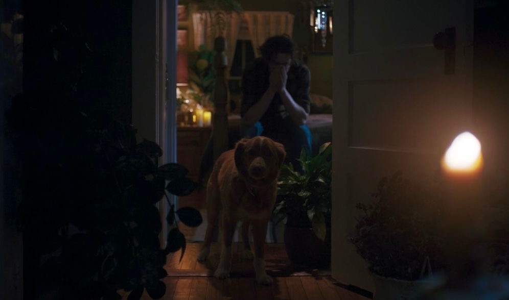 25 лучших фильмов 2025 года комедии ужастики сайфай фантастика детективы триллеры